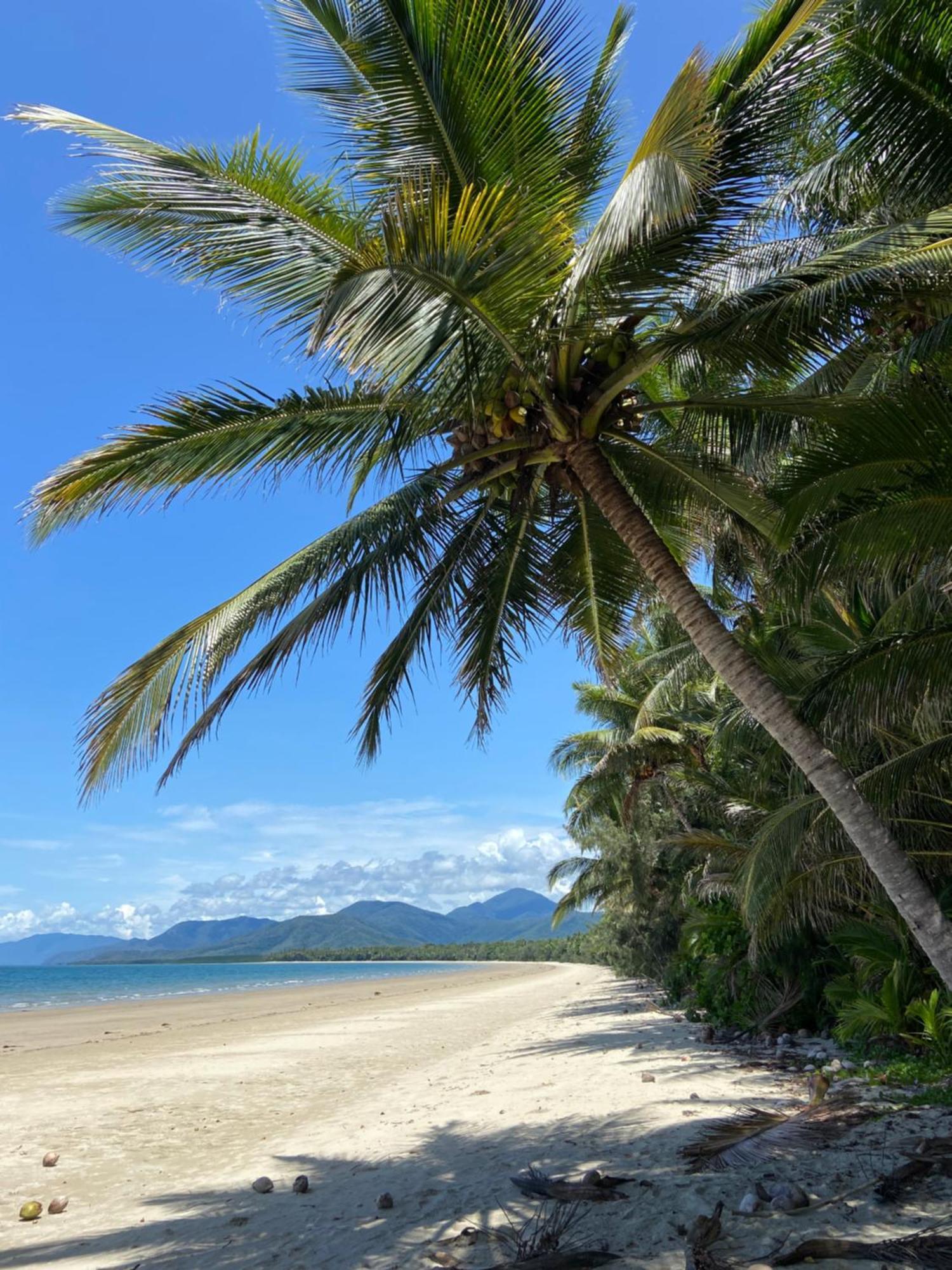 Modern 2 Bedroom Townhouse - Four Mile Beach Escapes Port Douglas Exterior foto